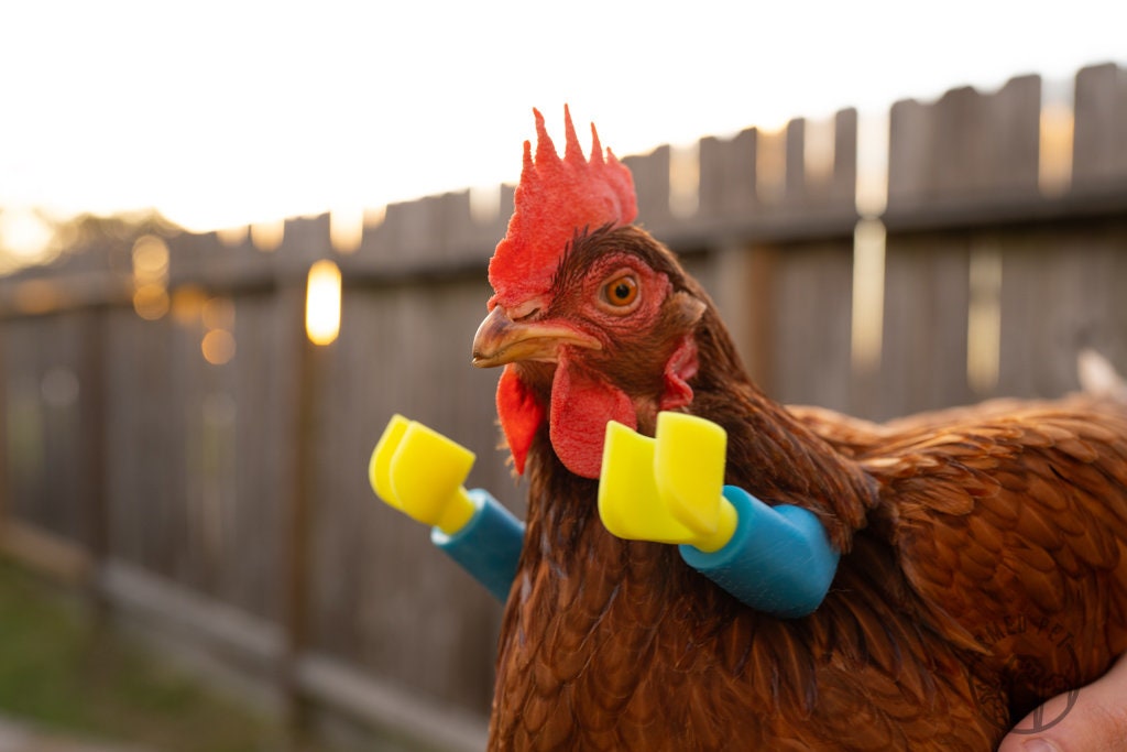 Block Lego Chicken Arms: Lego Strong Muscle Arms for Chickens and Dinosaur Claws for Funny Chicken Toys and Photo Props - GoodBuy.ai