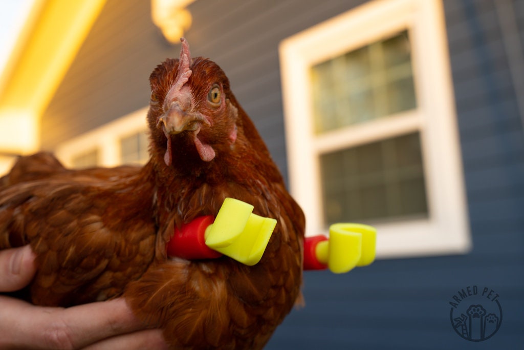 Block Lego Chicken Arms: Lego Strong Muscle Arms for Chickens and Dinosaur Claws for Funny Chicken Toys and Photo Props - GoodBuy.ai