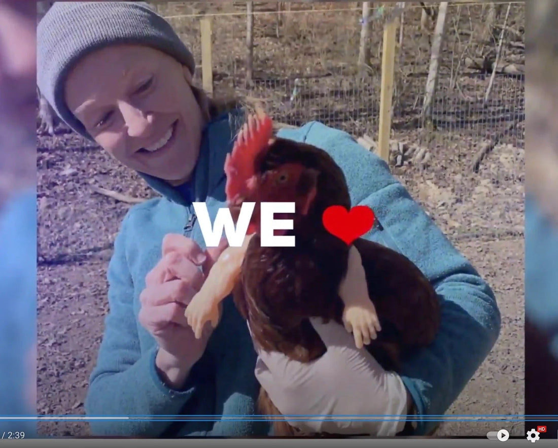 We ❤️ Our Pets: Episode 1 Chicken Arms Compilation from ArmedPet