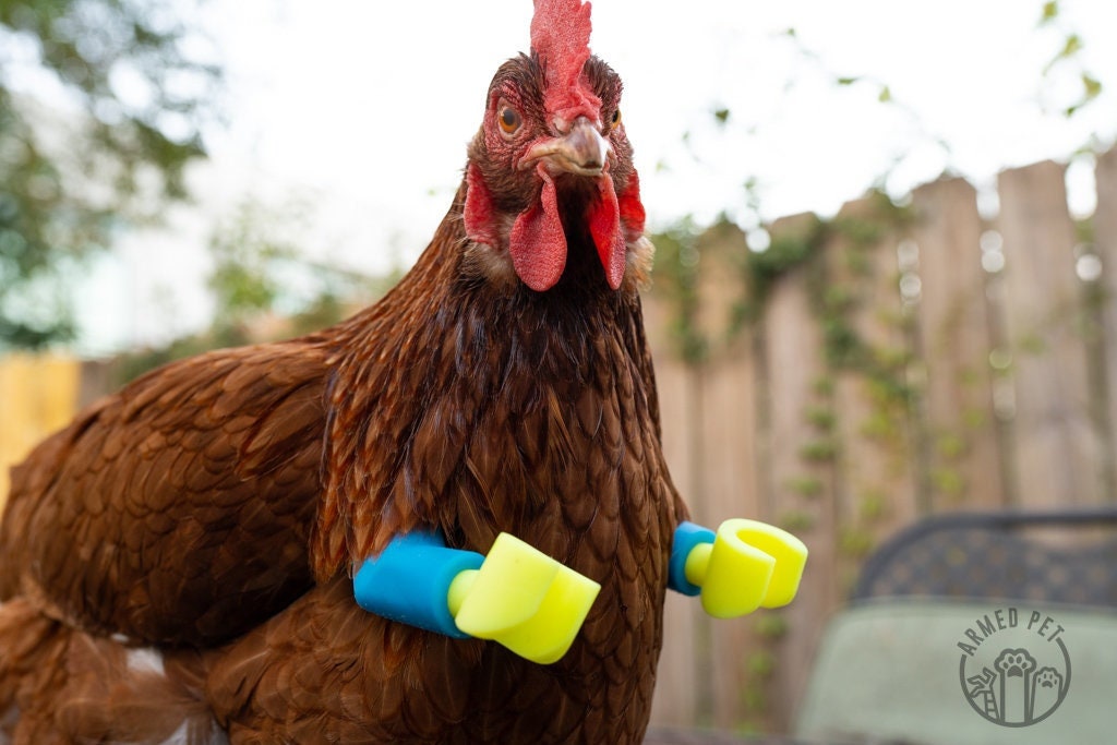 Block Lego Chicken Arms: Lego Strong Muscle Arms for Chickens and Dinosaur Claws for Funny Chicken Toys and Photo Props - GoodBuy.ai