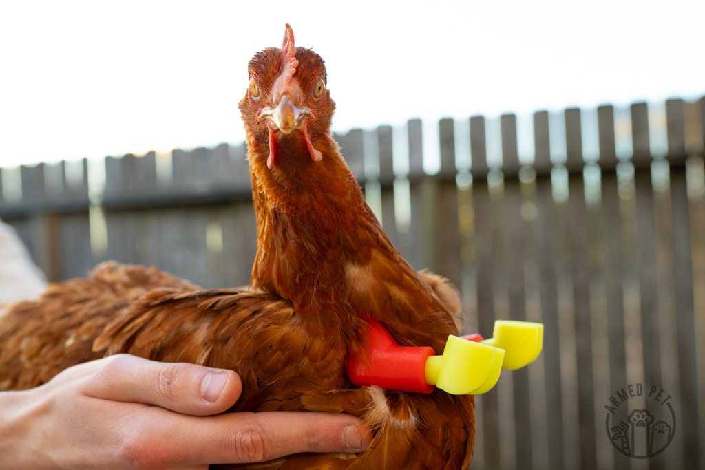 Block Lego Chicken Arms: Lego Strong Muscle Arms for Chickens and Dinosaur Claws for Funny Chicken Toys and Photo Props - GoodBuy.ai