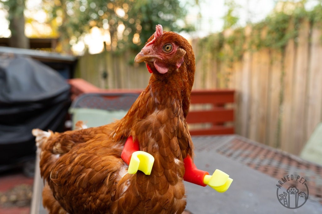 Block Lego Chicken Arms: Lego Strong Muscle Arms for Chickens and Dinosaur Claws for Funny Chicken Toys and Photo Props - GoodBuy.ai