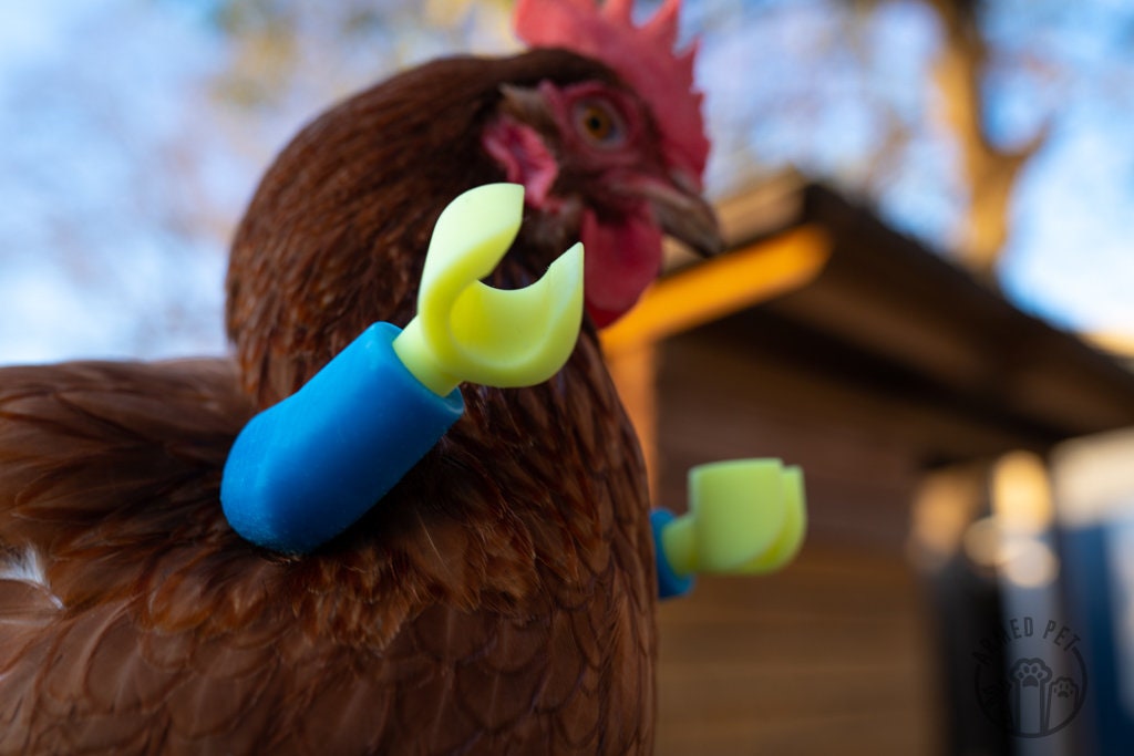 Block Lego Chicken Arms: Lego Strong Muscle Arms for Chickens and Dinosaur Claws for Funny Chicken Toys and Photo Props - GoodBuy.ai