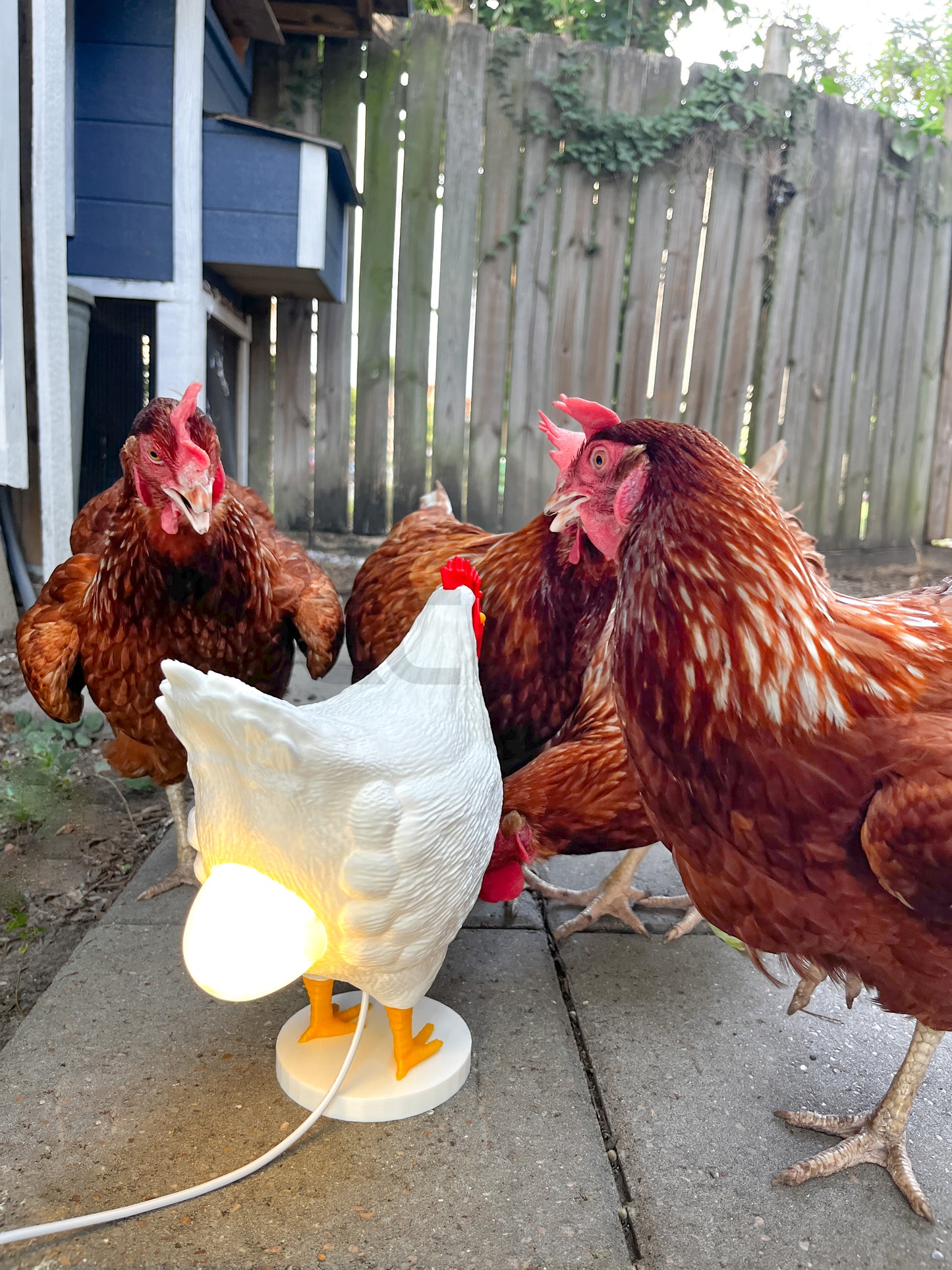 Clucky Luminary: 3D Printed Chicken & Egg Desk Lamp - Your Cozy Companion