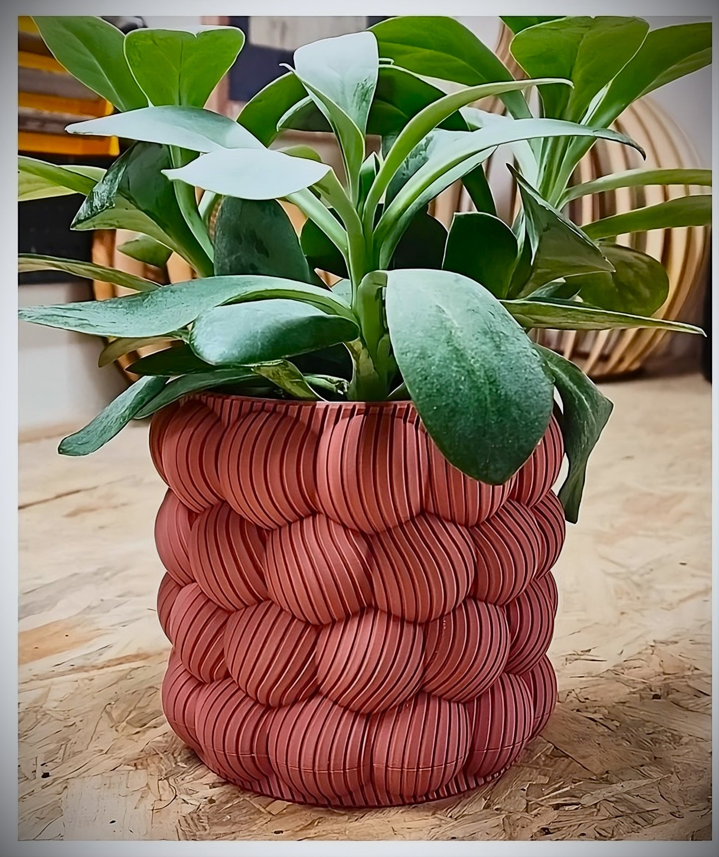 GoodBuy.ai 3D Printed Wall Pot - Elegant Home Décor Accent Piece